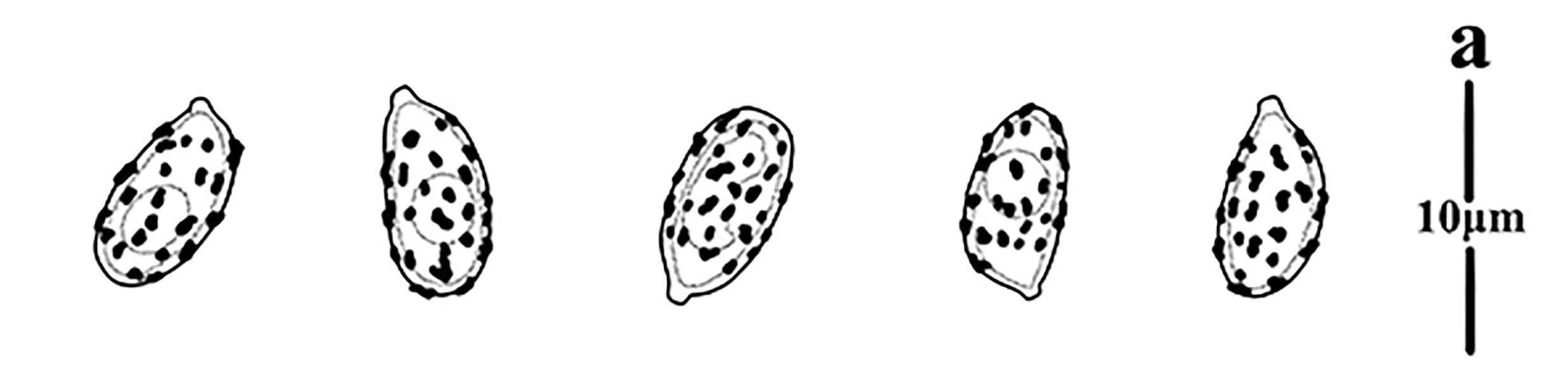 Figure 10